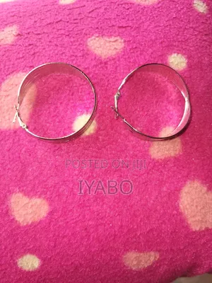 Silver Toned Hoop Earrings