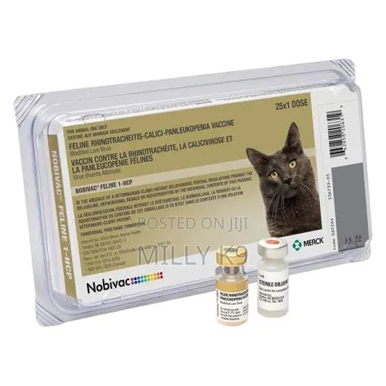 Cat Vaccine (Fvrcp)