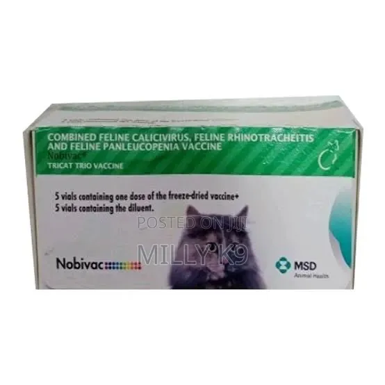 Cat Vaccine (Fvrcp)