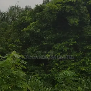 Land Available for Sale Near Abraham Adesanya