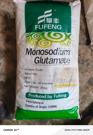 Monosodium Glutamate MSG 20 60 Mesh