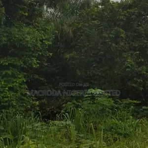 Prime Land Selling Now at Adeola Odeku