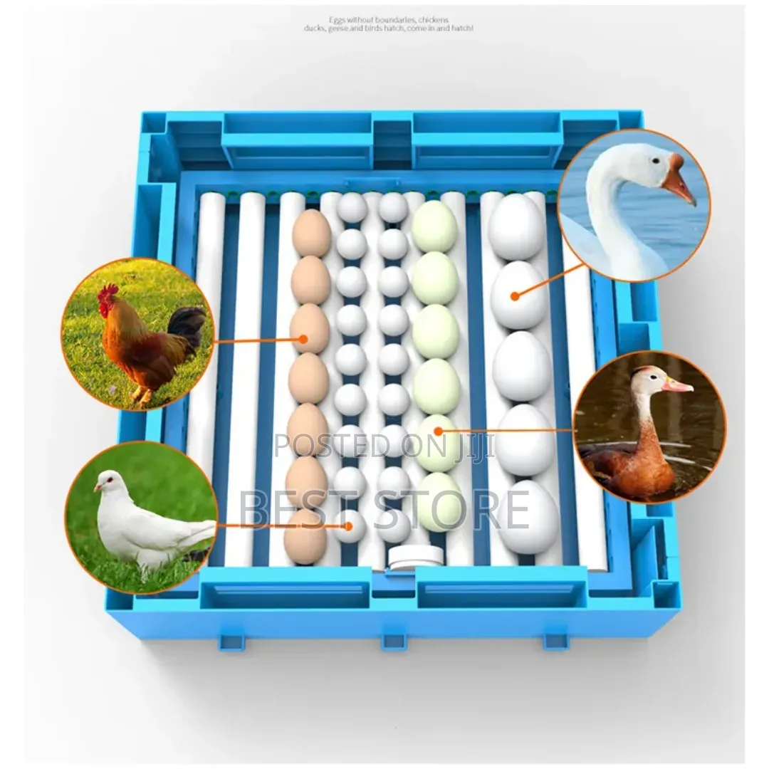 Egg Incubator Hatching AC/Dc Chick Production