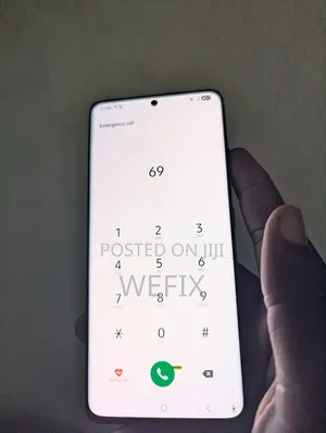 S21 Ultra Screen (Cracked)