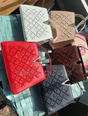 Dior Leather Bag