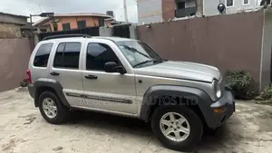 Jeep Cherokee 2003 Ivory