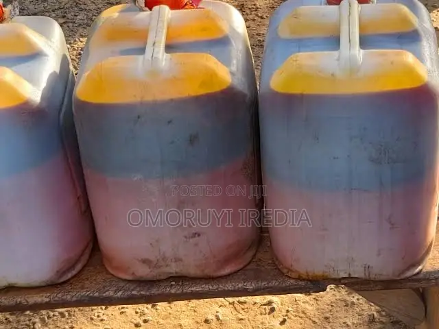 10 Liters Palm Oil