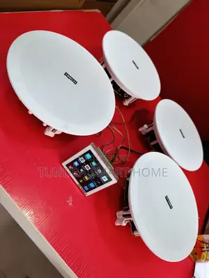 Tundra Home Ceiling Speakers and Wall Amplifier