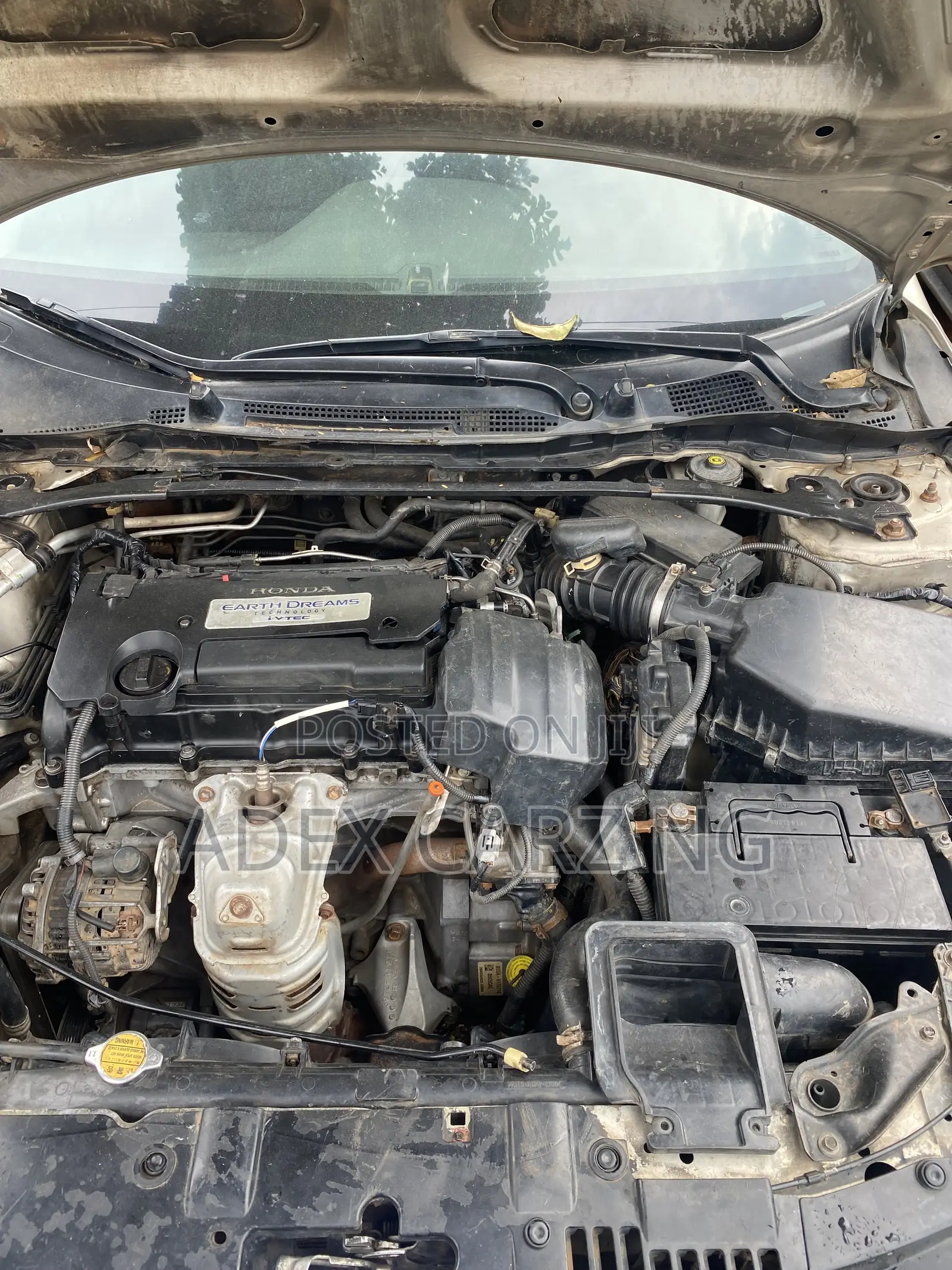 Honda Accord 2013 Gold