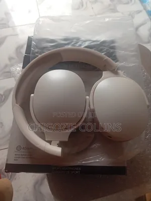 P2961 Headset