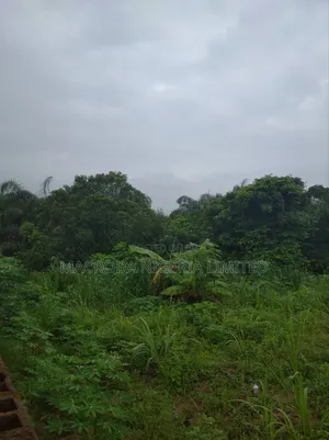 Massive Waterfront Land for Sale