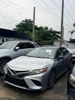 Toyota Camry XSE (2.5L 4cyl 8A) 2019 Silver