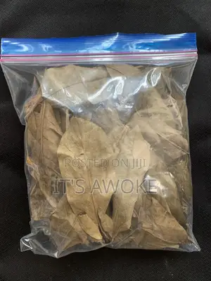Premium Dried Soursop Leaves (100% Organic)