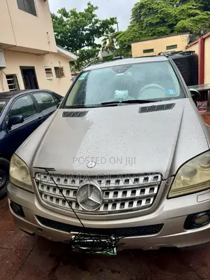 Mercedes-Benz M Class 2010 Gray