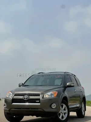 Toyota RAV4 2010 Gray