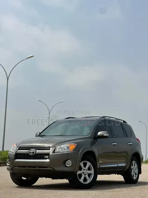 Toyota RAV4 2010 Gray