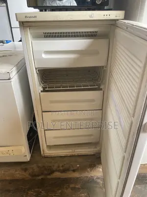 Five Steps Non Frost Standing Freezer