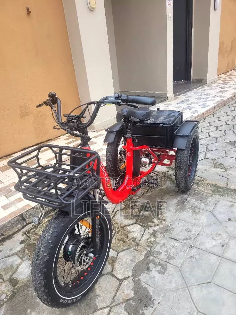 Electric Power Bicycle