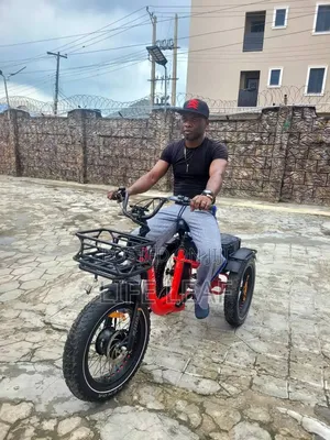 Electric Power Bicycle