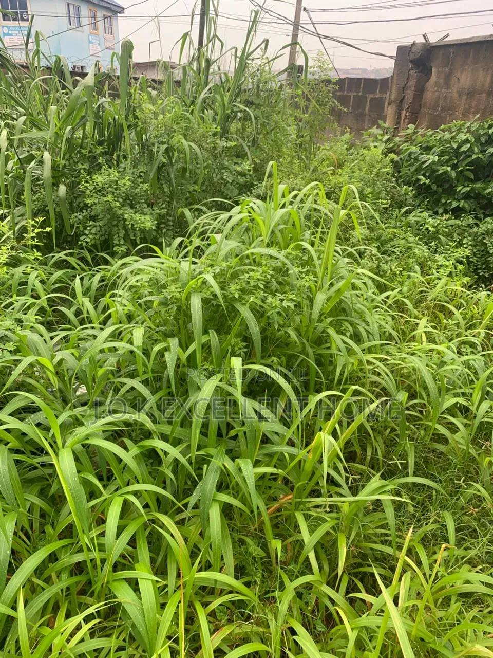 A Plot of Land at Ogba