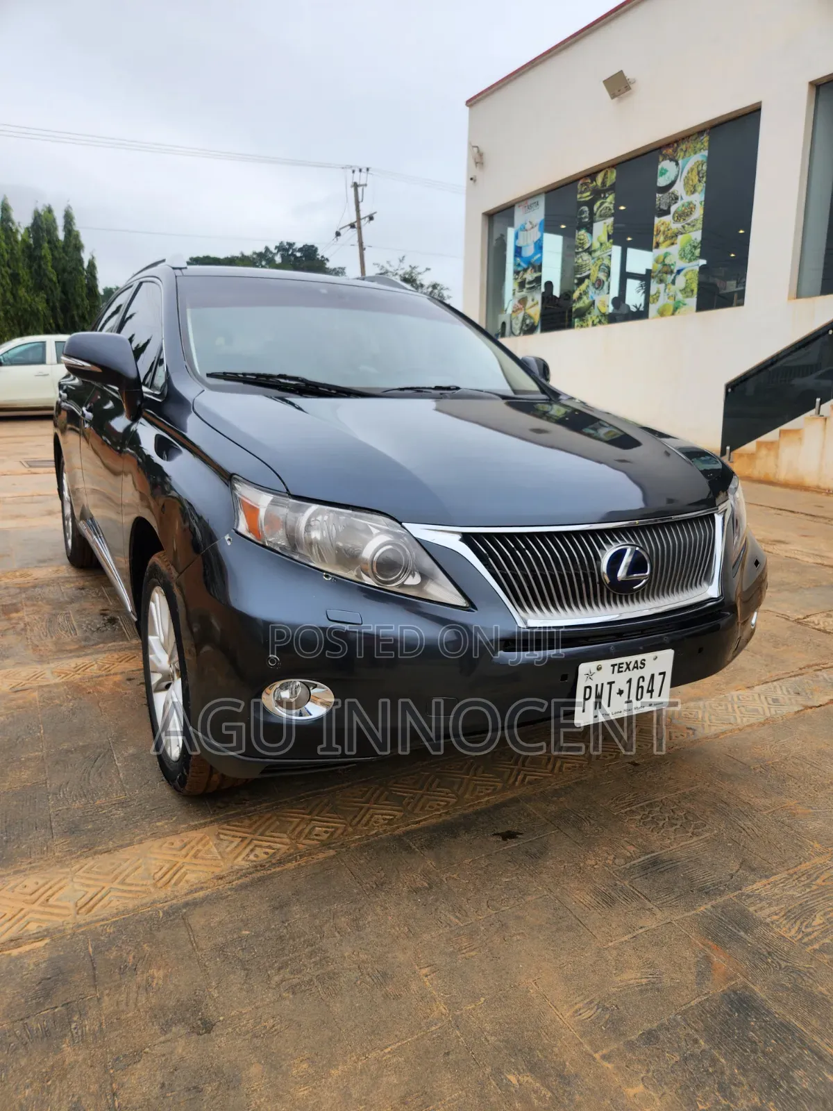 Lexus RX 2013 Gray