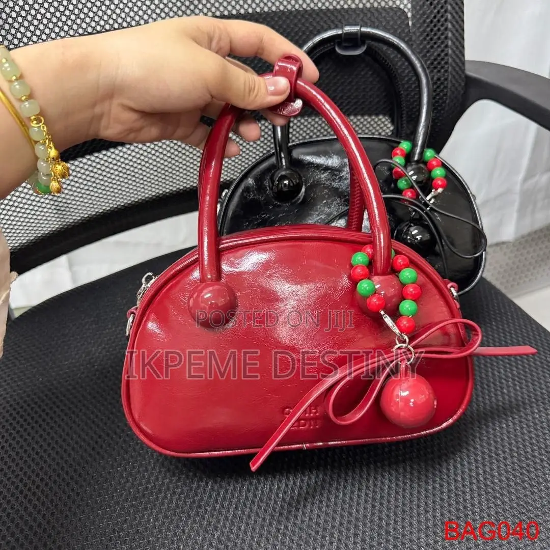 Luxury Zara Bag