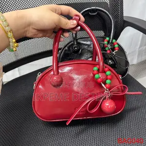 Luxury Zara Bag