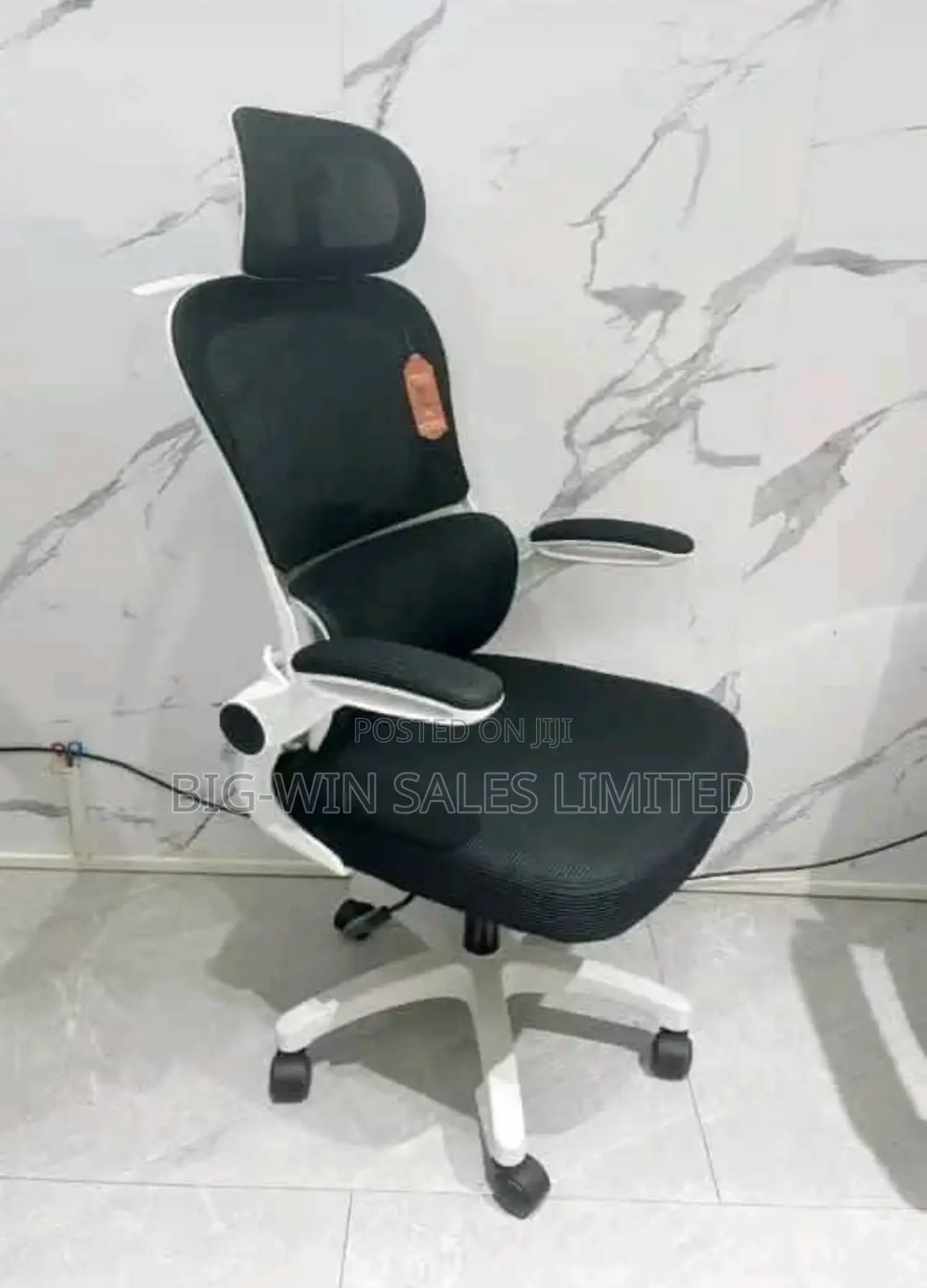 Executive Office Chair
