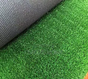 Turkish Astro Turf