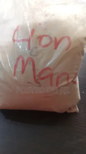 Lion's Mane Powder 100g