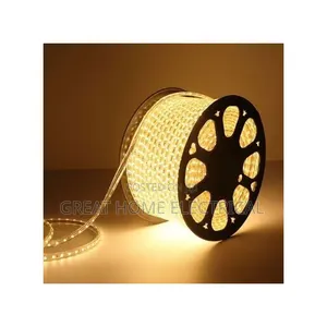 Rope Light