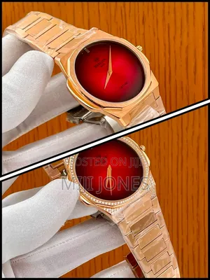 Hislon Stainless Steel Bracelet Watch