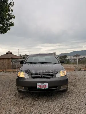 Toyota Corolla 2003 Gray