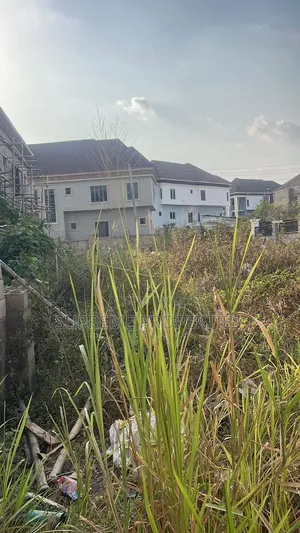 A Plot of Land Inside Tiger Estate Ojoo