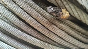 Stairwire 10mm Tickles