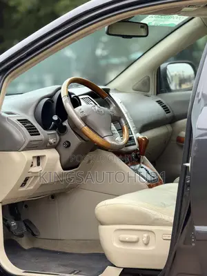 Lexus RX 2008 Gray