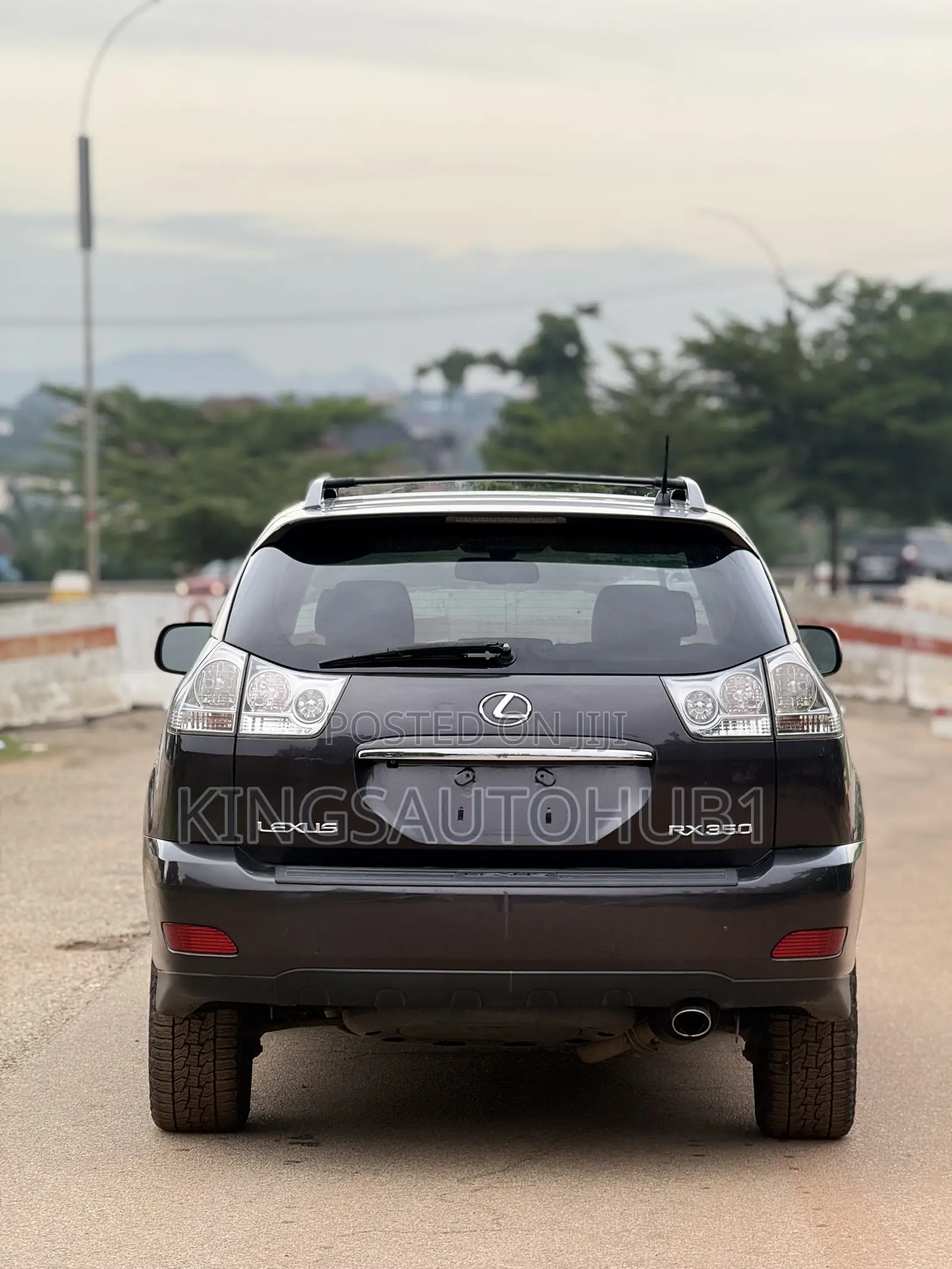 Lexus RX 2008 Gray