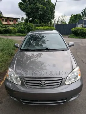 Toyota Corolla 2003 Gray