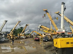Crane's 150tons, 120t, 100t, 90t, 80t, 50t And 30tons Others
