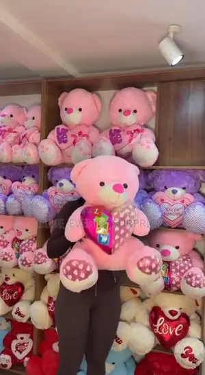 60cm Sitting Teddy Bear Big Size