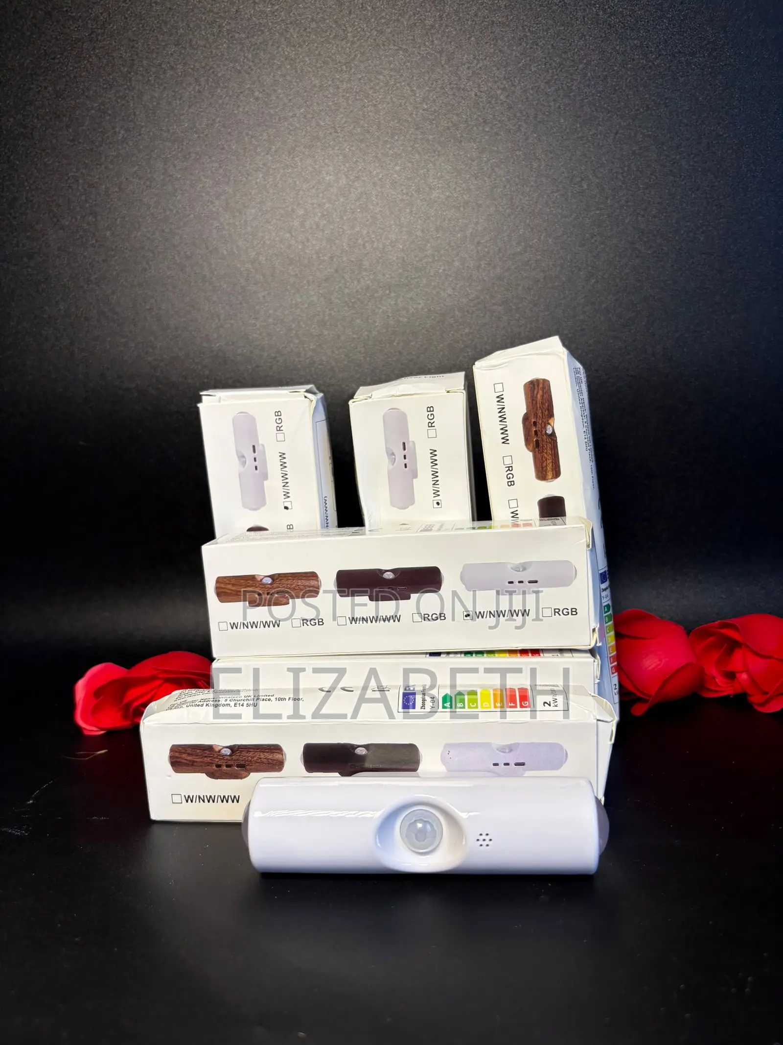 Motion Sensor Wall Light