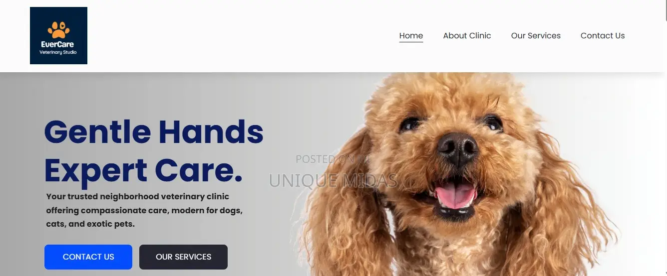 We Design Cinematic Websites – No Upfront Payment!