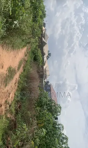 Land Property