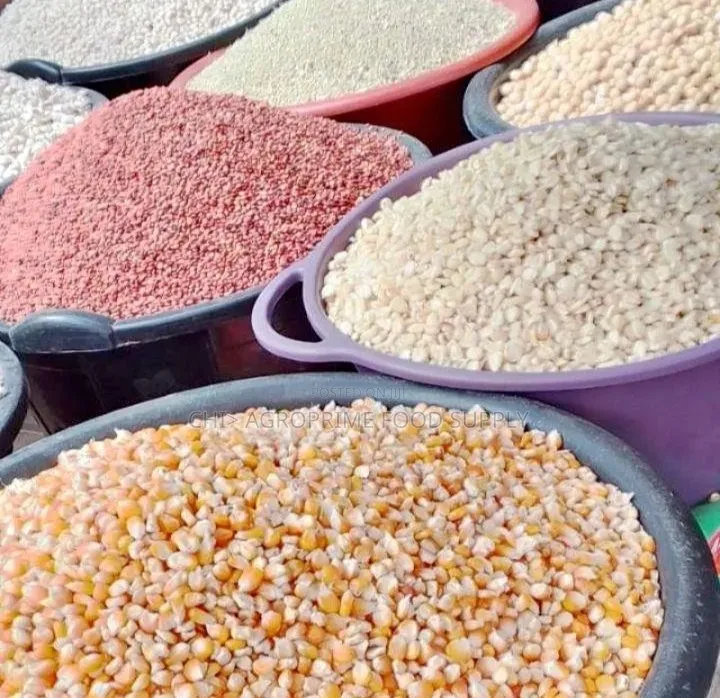 Clean Yellow Corn (Maize) - Export Local Bulk Supply.