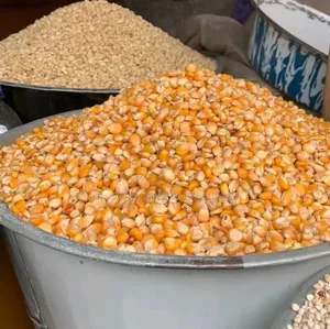 Clean Yellow Corn (Maize) - Export Local Bulk Supply.