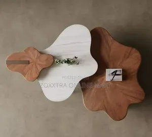 Modern Irregular Coffee Table Set