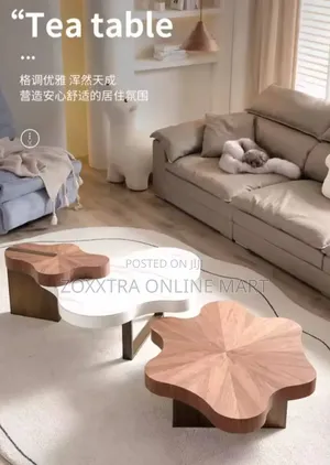 Modern Irregular Coffee Table Set
