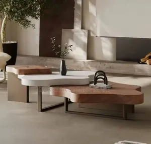 Modern Irregular Coffee Table Set