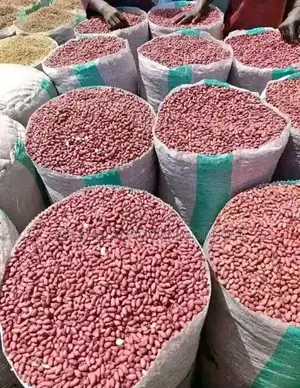 Premium Groundnut - Clean Dried Bulk Supply, Nigeria Internationally