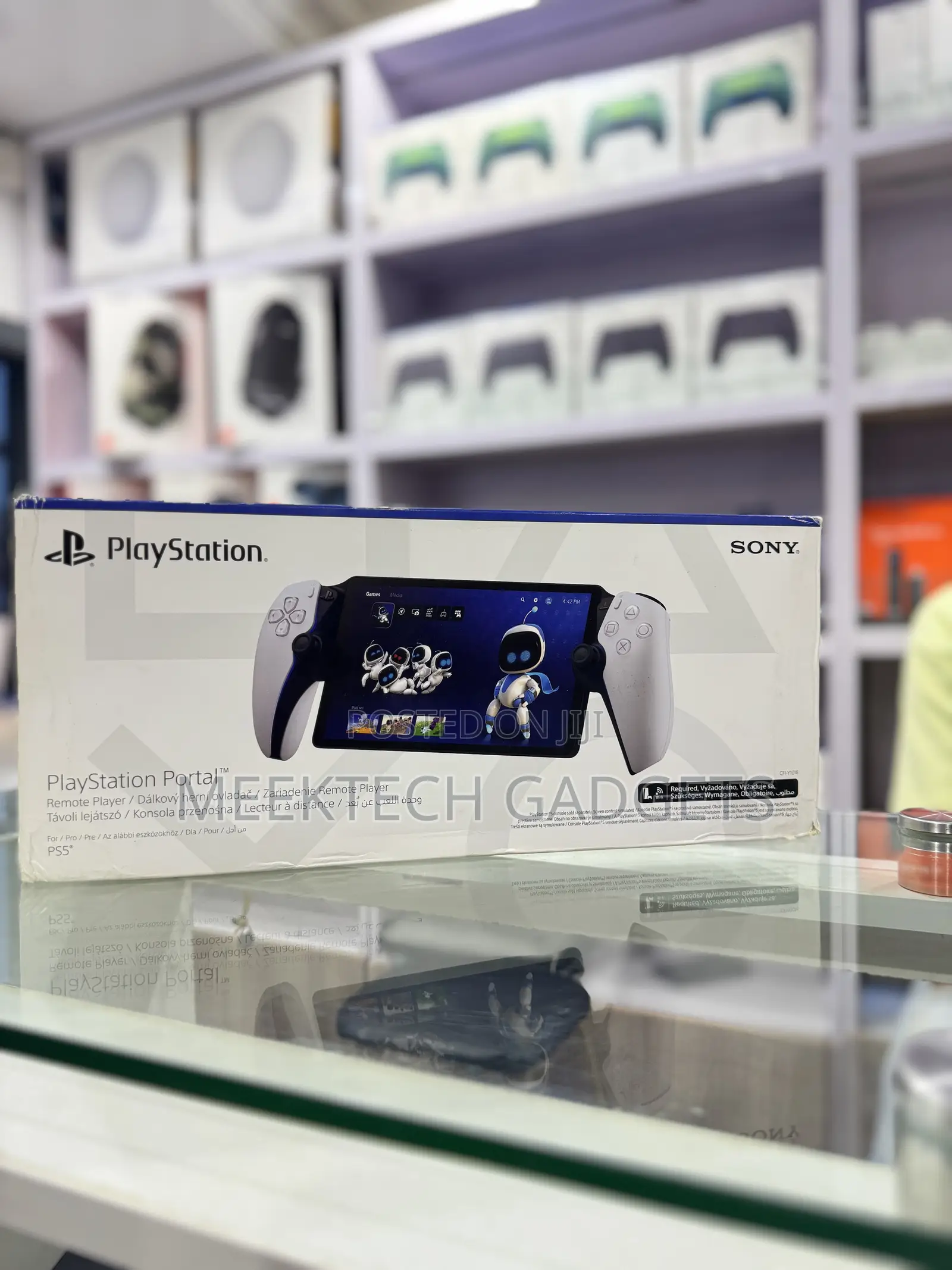 Ps 5 Portal